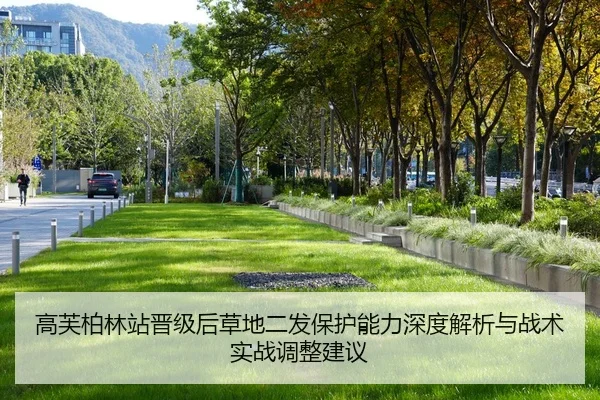 gao-fu-bo-lin-zhan-jin-ji-hou-cao-di-er-fa-bao-hu-neng-li-shen-du-jie-xi-yu-zhan-shu-shi-zhan-tiao-zheng-jian-yi-2-512.jpg